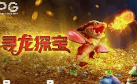 vwin德赢官网首页2024最新版