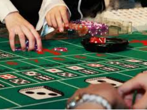 vwin德赢官网首页最新版